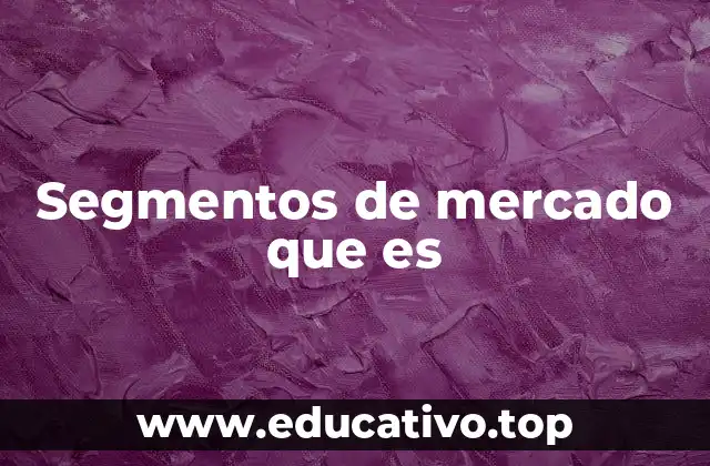 Segmentos de mercado que es