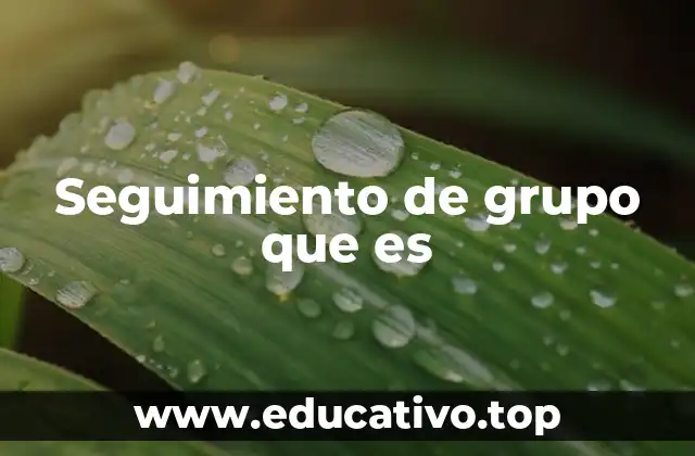 Seguimiento de grupo que es