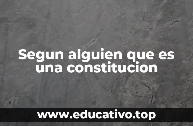 Segun alguien que es una constitucion