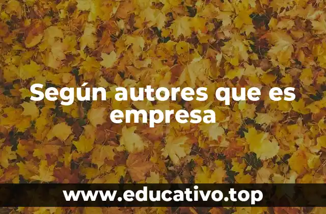 Según autores que es empresa