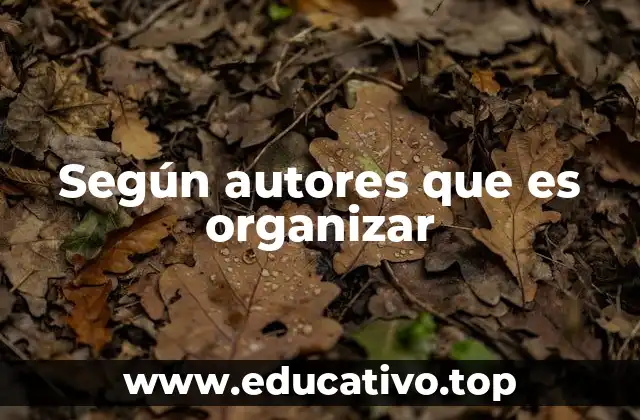 Según autores que es organizar