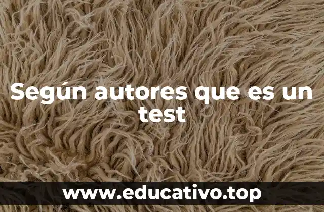 Según autores que es un test