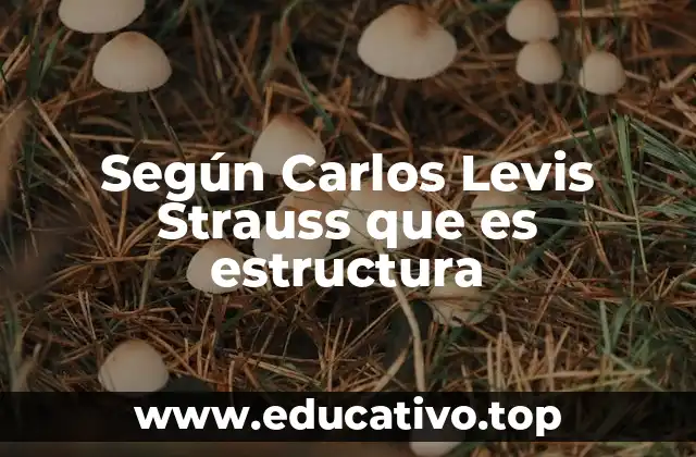 Según Carlos Levis Strauss que es estructura