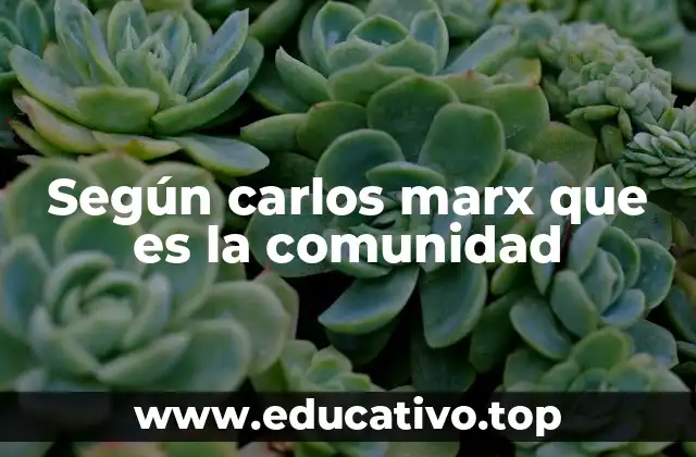 Según carlos marx que es la comunidad