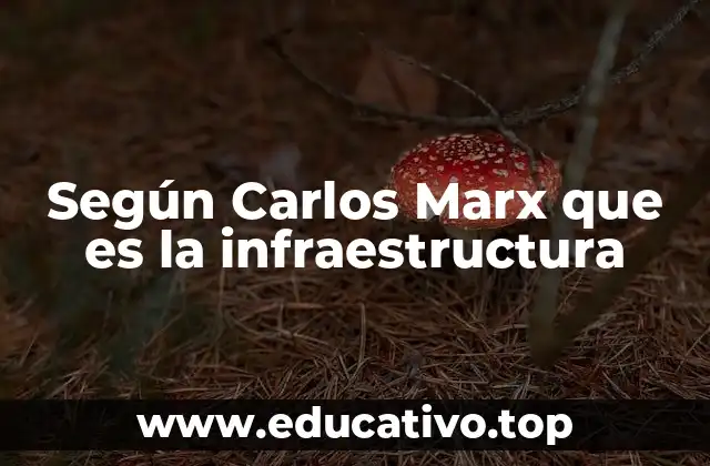 Según Carlos Marx que es la infraestructura