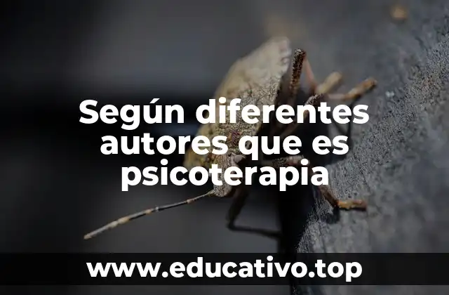 Según diferentes autores que es psicoterapia