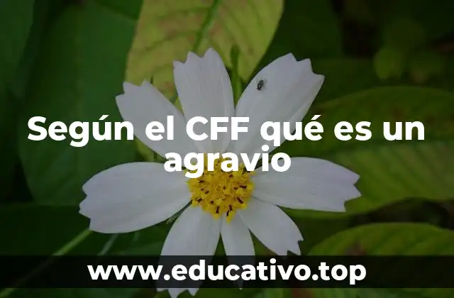 Según el CFF qué es un agravio