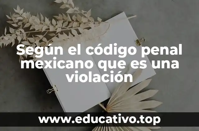 Según el código penal mexicano que es una violación