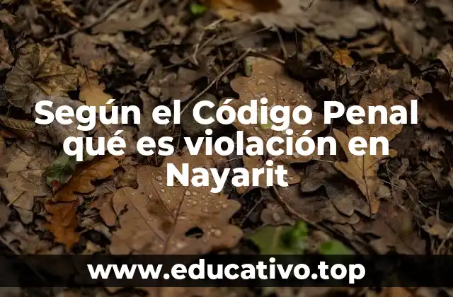 Según el Código Penal qué es violación en Nayarit