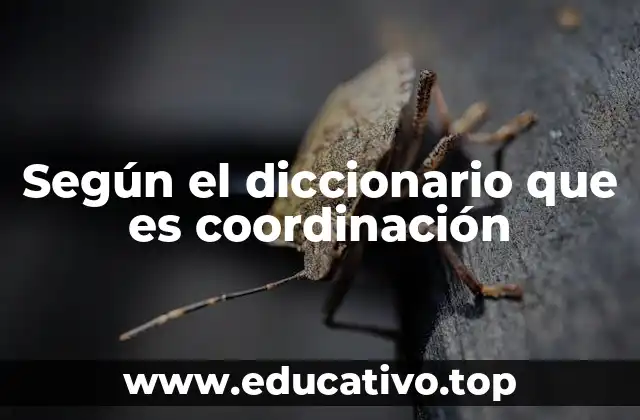 Según el diccionario que es coordinación