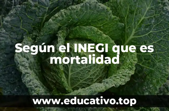Según el INEGI que es mortalidad