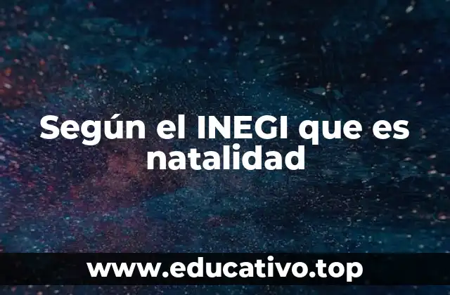 Según el INEGI que es natalidad