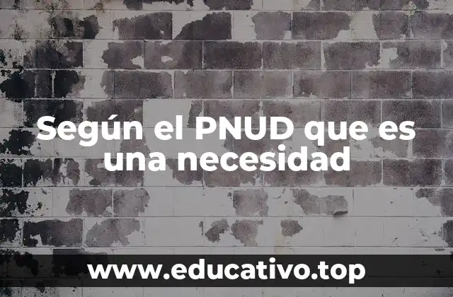 Según el PNUD que es una necesidad