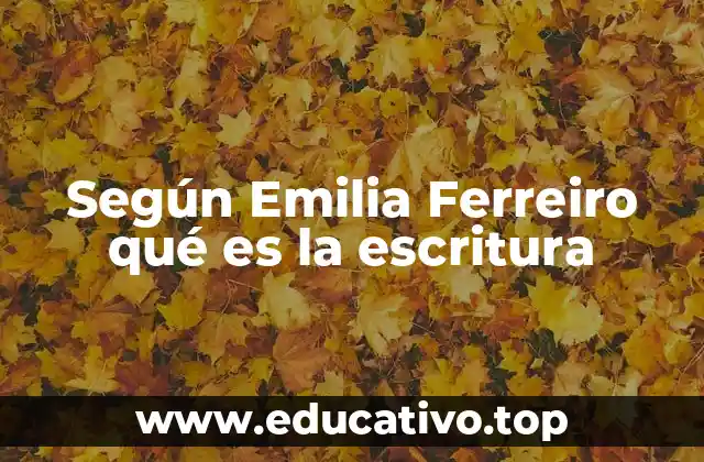 Según Emilia Ferreiro qué es la escritura