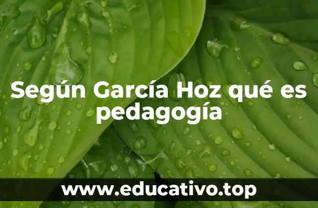 Según García Hoz qué es pedagogía