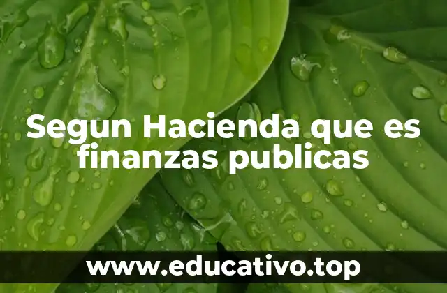 Segun Hacienda que es finanzas publicas