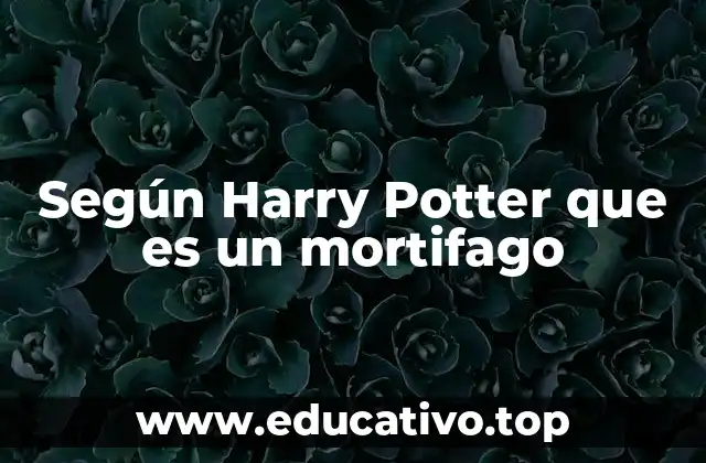 Según Harry Potter que es un mortifago