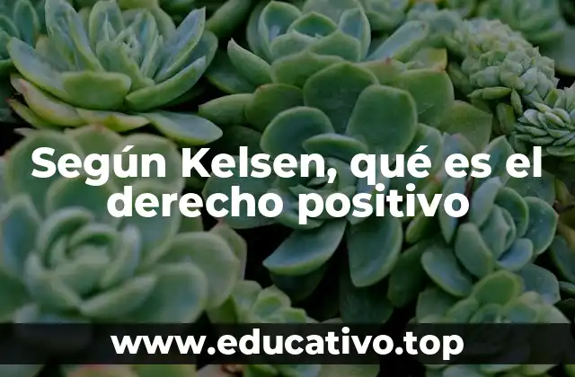 Según Kelsen, qué es el derecho positivo