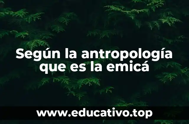 Según la antropología que es la emicá