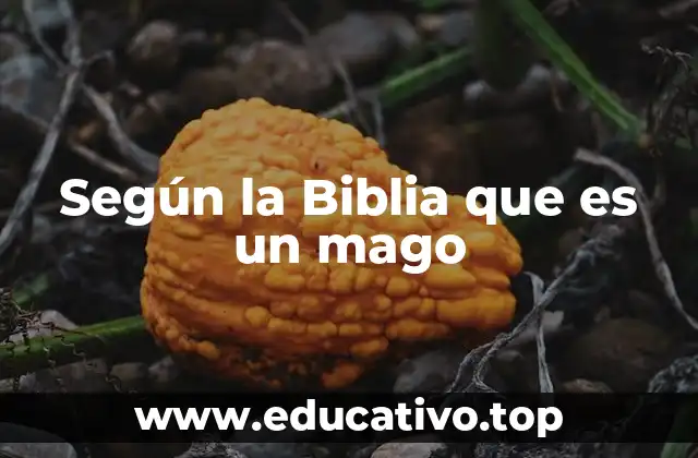Según la Biblia que es un mago