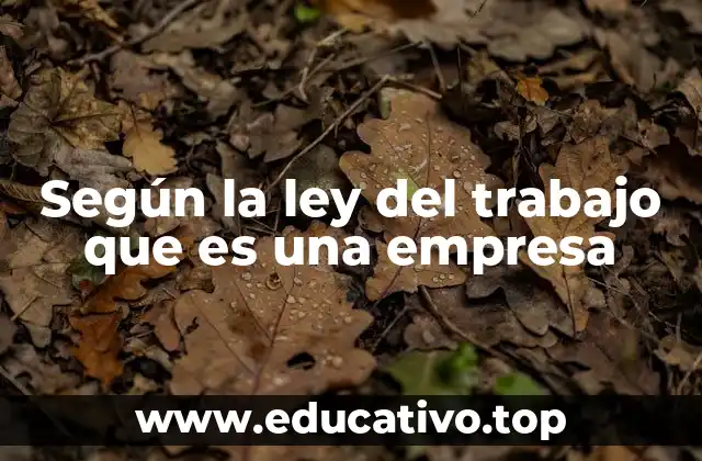 Según la ley del trabajo que es una empresa