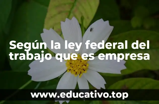 Según la ley federal del trabajo que es empresa