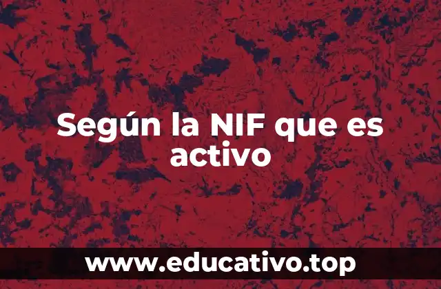 Según la NIF que es activo