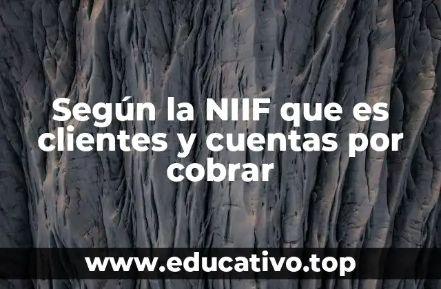 Según la NIIF que es clientes y cuentas por cobrar