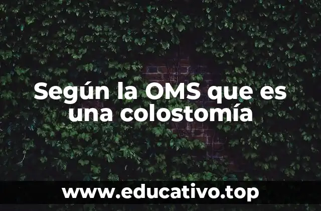 La colostomía como solución en enfermedades digestivas