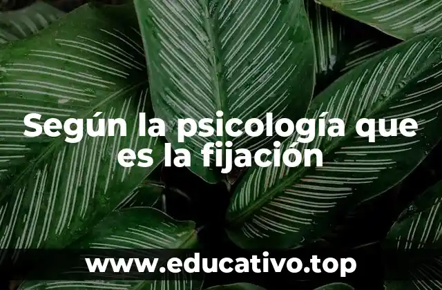 Según la psicología que es la fijación