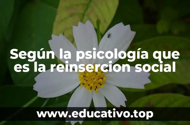 Según la psicología que es la reinsercion social