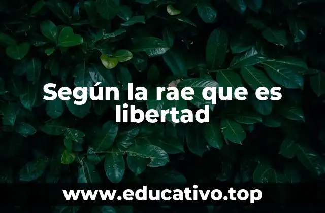 Según la rae que es libertad