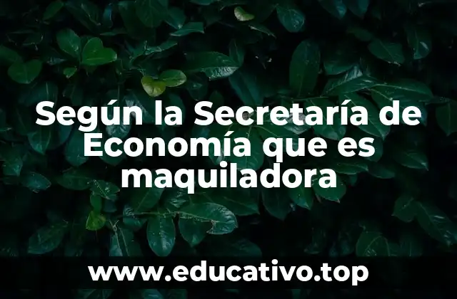 Según la Secretaría de Economía que es maquiladora