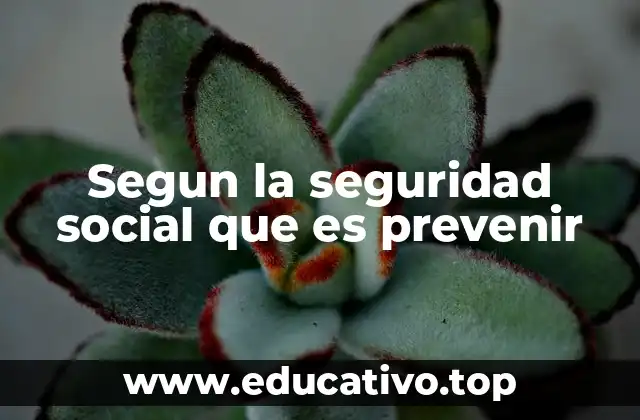 Segun la seguridad social que es prevenir