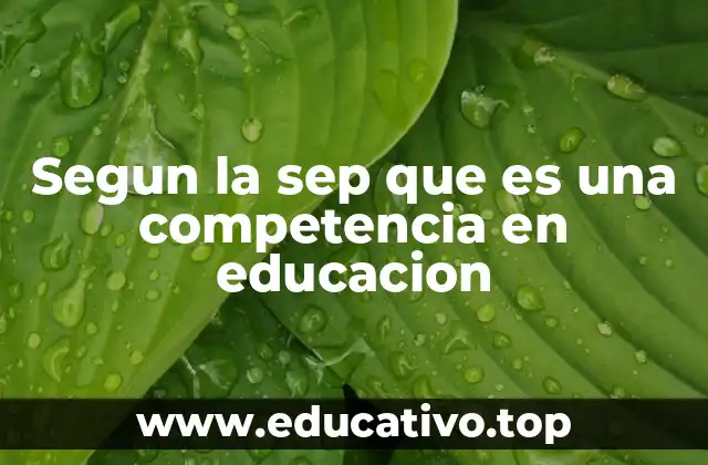 Segun la sep que es una competencia en educacion