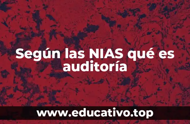 Según las NIAS qué es auditoría