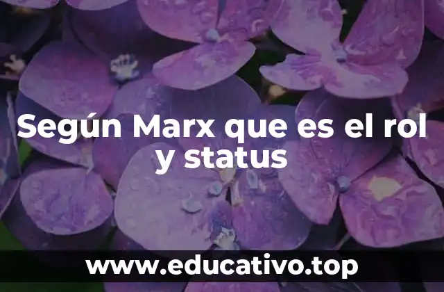 Según Marx que es el rol y status