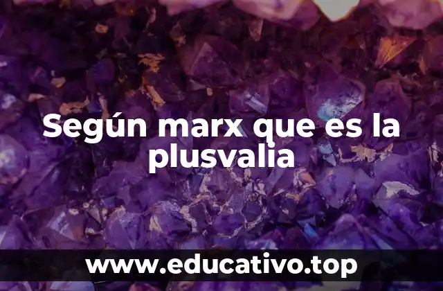 Según marx que es la plusvalia