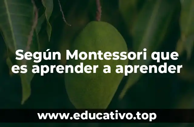 Según Montessori que es aprender a aprender
