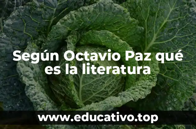 Según Octavio Paz qué es la literatura
