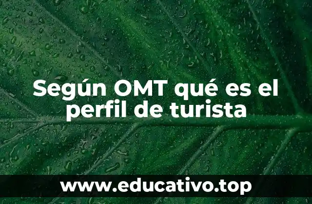 Según OMT qué es el perfil de turista