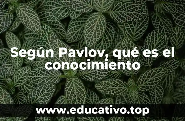 Según Pavlov, qué es el conocimiento