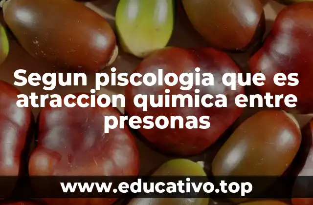 Segun piscologia que es atraccion quimica entre presonas