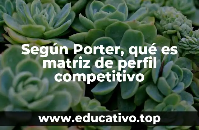 Análisis de competidores a través de la matriz de Porter