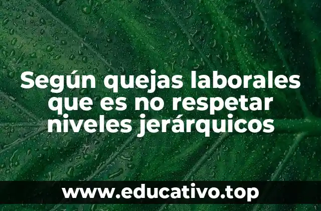 Según quejas laborales que es no respetar niveles jerárquicos