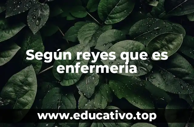 Según reyes que es enfermeria