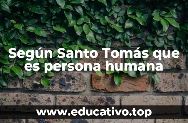 Según Santo Tomás que es persona humana