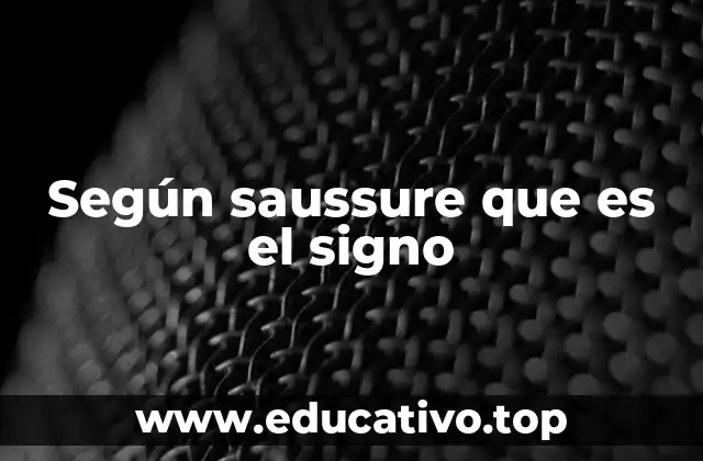 Según saussure que es el signo