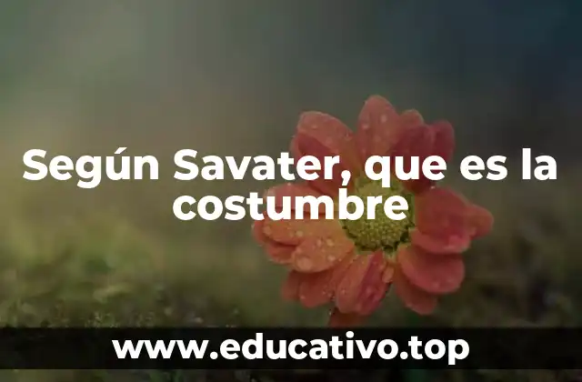 Según Savater, que es la costumbre