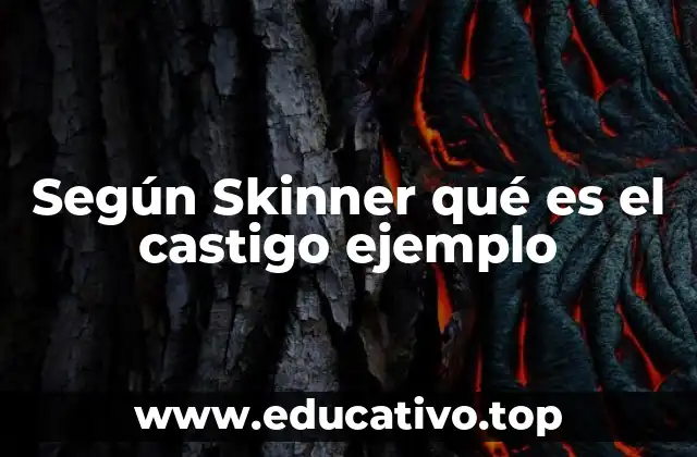 Según Skinner qué es el castigo ejemplo